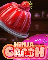 120BET.COM